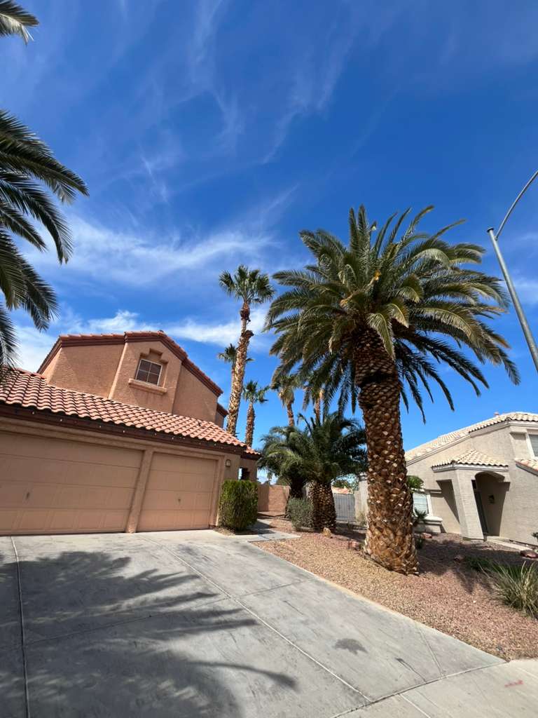 Desert Landscaping by Galvez Landscaping Las Vegas